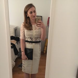 Gorgeous Anthropologie Carissima Sheath Dress Sz 4